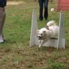 foire-haricots 2011-09-17et18